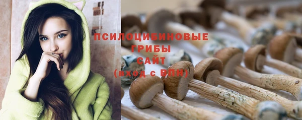 ГАЛЛЮЦИНОГЕННЫЕ ГРИБЫ Дмитровск
